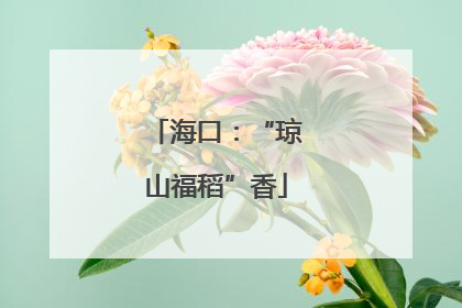 海口：“琼山福稻”香