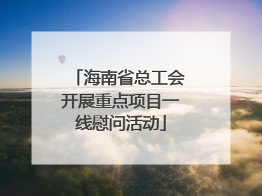 海南省总工会开展重点项目一线慰问活动
