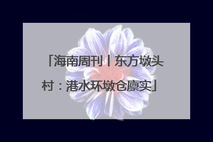 海南周刊丨东方墩头村：港水环墩仓廪实
