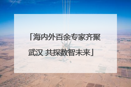 海内外百余专家齐聚武汉 共探数智未来