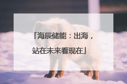 海辰储能：出海，站在未来看现在