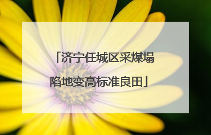 济宁任城区采煤塌陷地变高标准良田