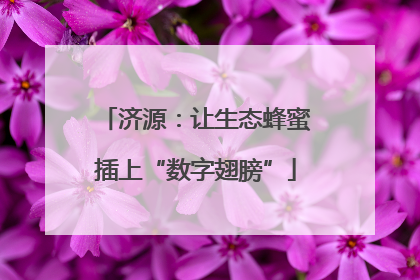 济源：让生态蜂蜜插上“数字翅膀”