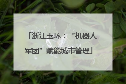 浙江玉环：“机器人军团”赋能城市管理