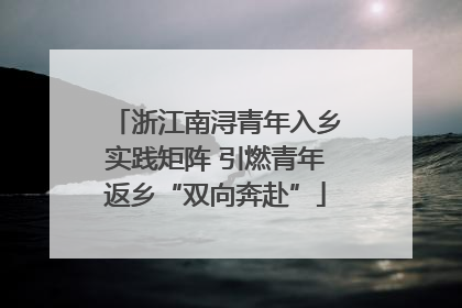 浙江南浔青年入乡实践矩阵 引燃青年返乡“双向奔赴”