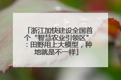 浙江加快建设全国首个“智慧农业引领区”：田野用上大模型，种地就是不一样