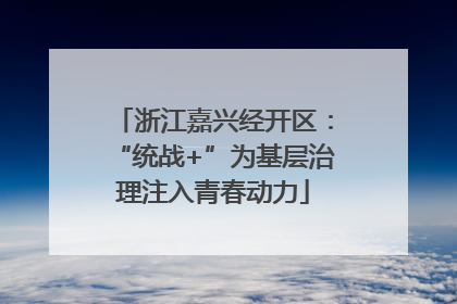 浙江嘉兴经开区：“统战+”为基层治理注入青春动力