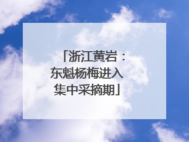 浙江黄岩：东魁杨梅进入集中采摘期