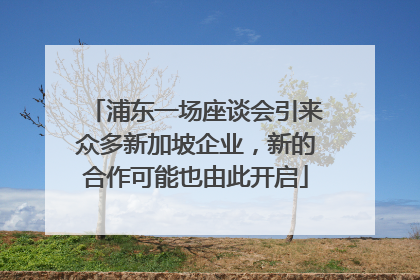 浦东一场座谈会引来众多新加坡企业，新的合作可能也由此开启