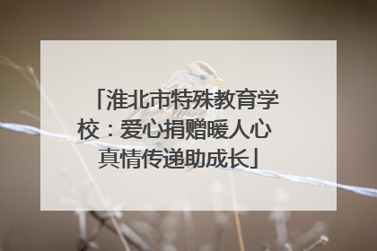 淮北市特殊教育学校：爱心捐赠暖人心 真情传递助成长