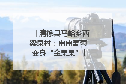 清徐县马峪乡西梁泉村：串串葡萄变身“金果果”