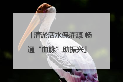清淤活水保灌溉 畅通“血脉”助振兴