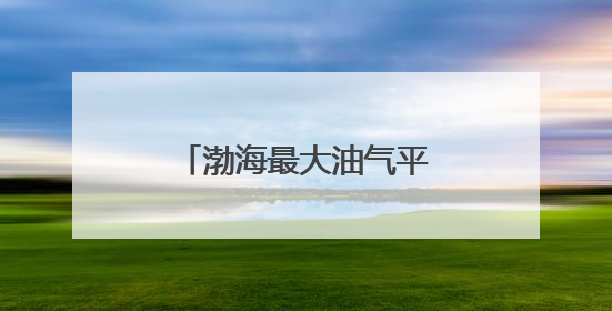 渤海最大油气平台完成浮托安装