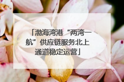渤海湾港“两湾一航”供应链服务北上通道稳定运营