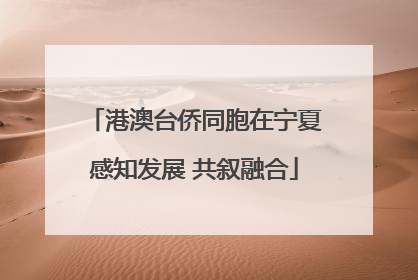 港澳台侨同胞在宁夏感知发展 共叙融合
