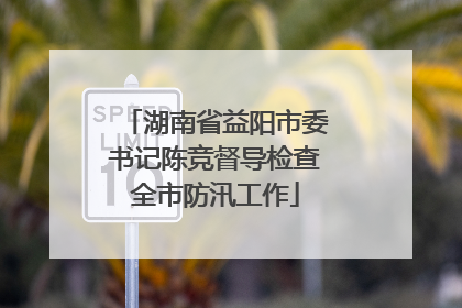 湖南省益阳市委书记陈竞督导检查全市防汛工作