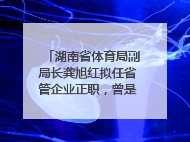 湖南省体育局副局长龚旭红拟任省管企业正职，曾是赛艇亚运冠军