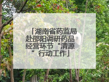 湖南省药监局赴邵阳调研药品经营环节“清源”行动工作