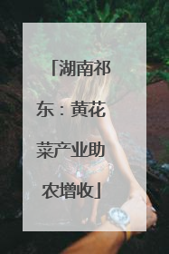 湖南祁东：黄花菜产业助农增收
