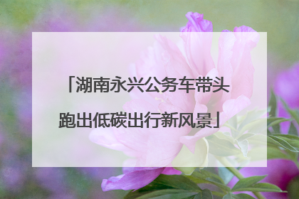 湖南永兴公务车带头跑出低碳出行新风景