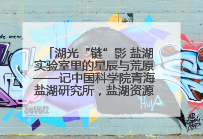 湖光“链”影 盐湖实验室里的星辰与荒原——记中国科学院青海盐湖研究所，盐湖资源化学实验室党总支书记、副主任刘忠
