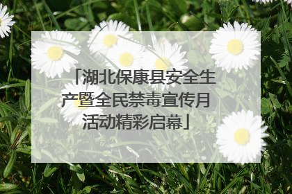 湖北保康县安全生产暨全民禁毒宣传月活动精彩启幕