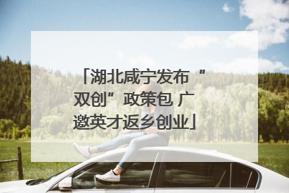 湖北咸宁发布“双创”政策包 广邀英才返乡创业
