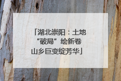 湖北崇阳：土地“破局”绘新卷 山乡巨变绽芳华