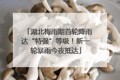 湖北梅雨期首轮降雨达“特强”等级！新一轮暴雨今夜抵达