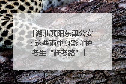 湖北襄阳东津公安：这些雨中身影守护考生“赶考路”