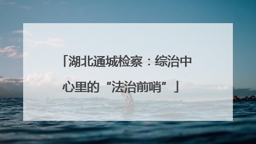 湖北通城检察：综治中心里的“法治前哨”