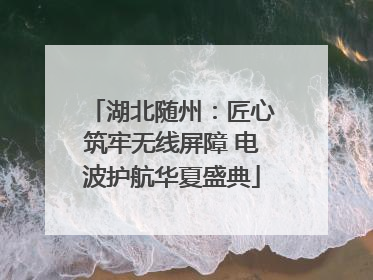 湖北随州：匠心筑牢无线屏障 电波护航华夏盛典