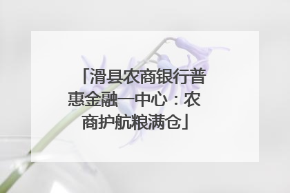 滑县农商银行普惠金融一中心：农商护航粮满仓