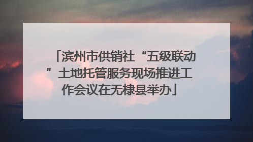 滨州市供销社“五级联动”土地托管服务现场推进工作会议在无棣县举办