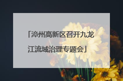 漳州高新区召开九龙江流域治理专题会