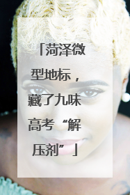 菏泽微型地标，藏了九味高考“解压剂”