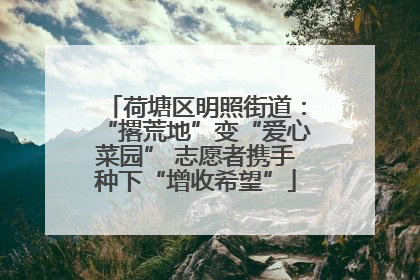 荷塘区明照街道：“撂荒地”变“爱心菜园” 志愿者携手种下“增收希望”