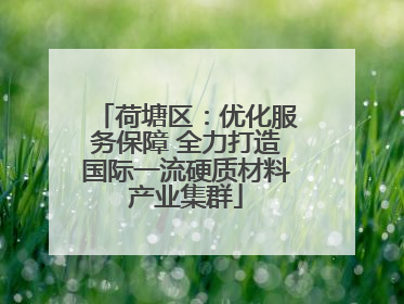 荷塘区：优化服务保障 全力打造国际一流硬质材料产业集群