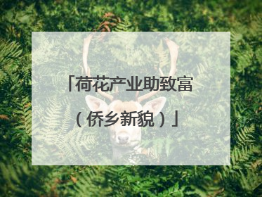 荷花产业助致富（侨乡新貌）
