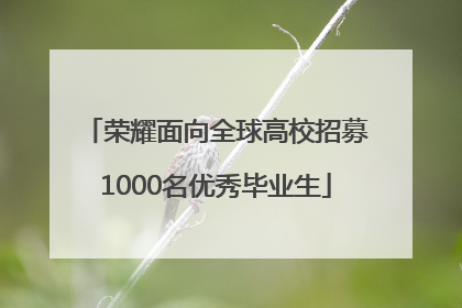 荣耀面向全球高校招募1000名优秀毕业生