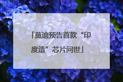 莫迪预告首款“印度造”芯片问世