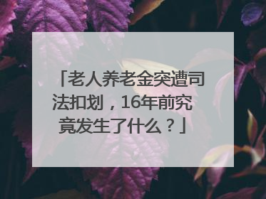 老人养老金突遭司法扣划，16年前究竟发生了什么？