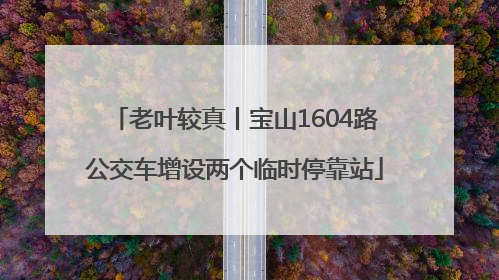老叶较真丨宝山1604路公交车增设两个临时停靠站