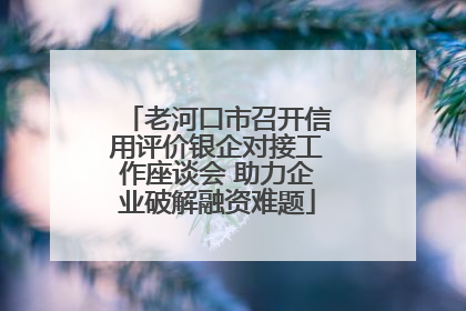 老河口市召开信用评价银企对接工作座谈会 助力企业破解融资难题
