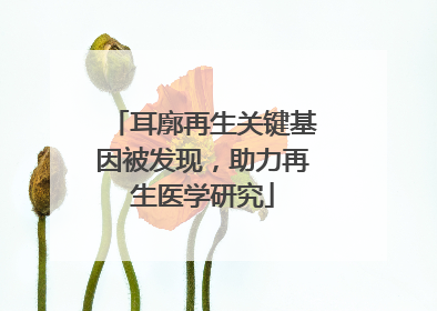 耳廓再生关键基因被发现，助力再生医学研究