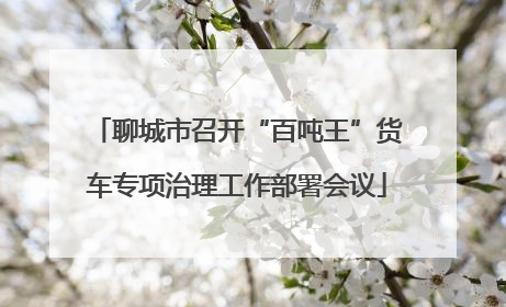 聊城市召开“百吨王”货车专项治理工作部署会议