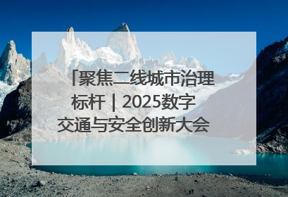 聚焦二线城市治理标杆｜2025数字交通与安全创新大会在保定隆重开幕