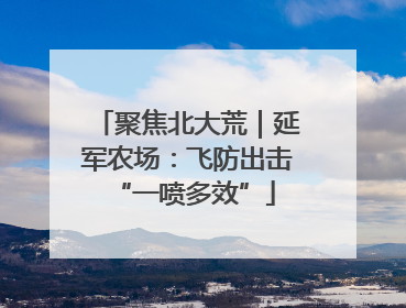 聚焦北大荒｜延军农场：飞防出击 “一喷多效”