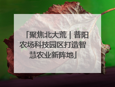 聚焦北大荒｜普阳农场科技园区打造智慧农业新阵地