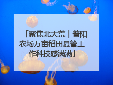 聚焦北大荒｜普阳农场万亩稻田夏管工作科技感满满